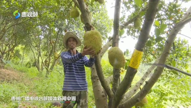 ztfqc.cn 网站已完成国家要求的ICP备案