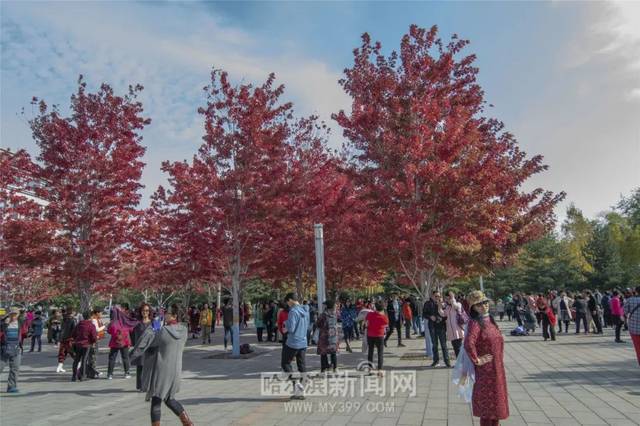 寸止有用吗 寸止有用且需注意边界尊重