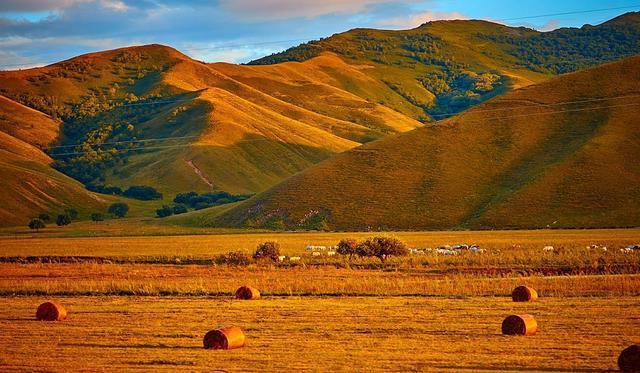 无线限臀山 请随时补充更多信息