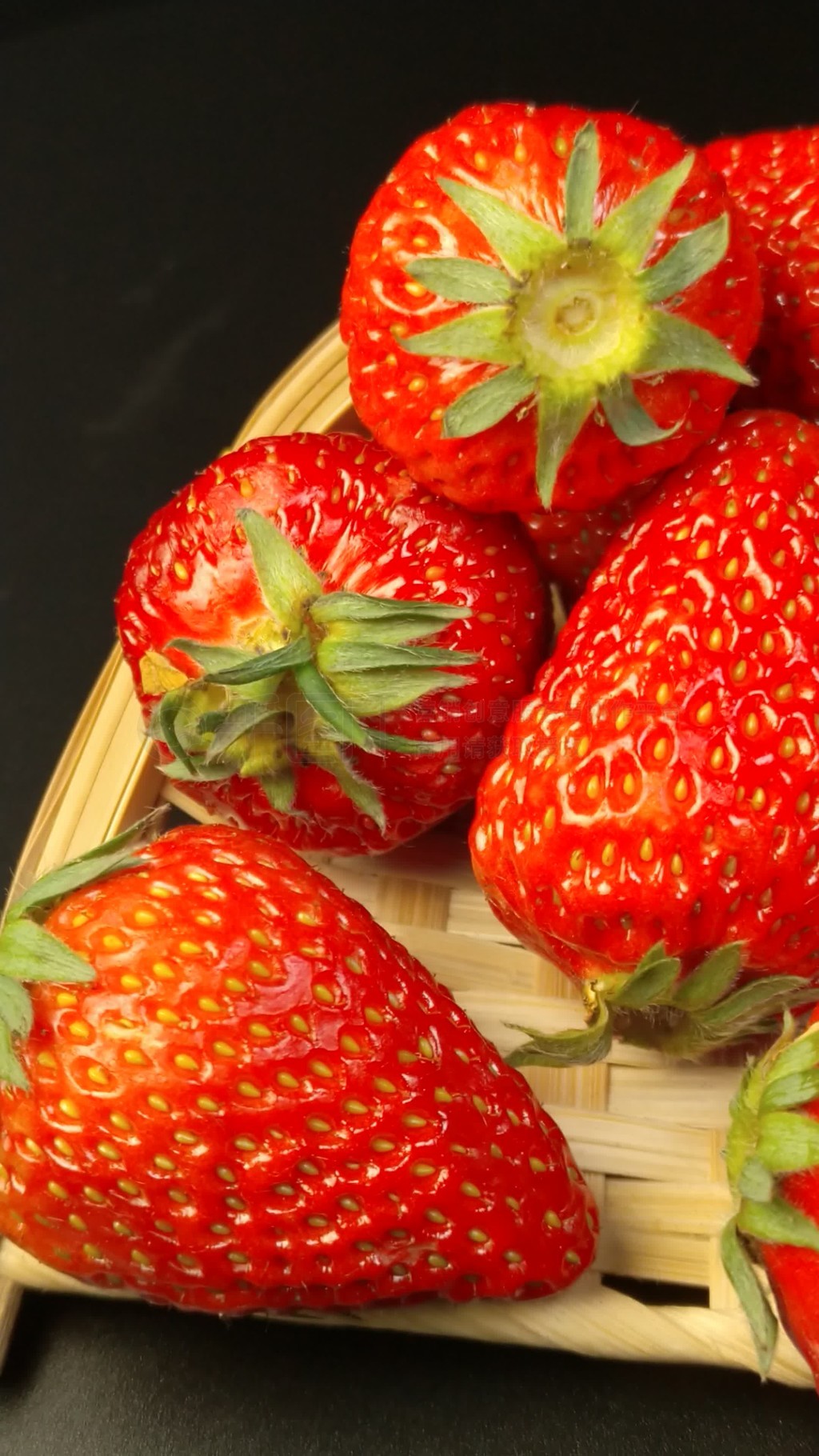 安幼宁yuni B站等平台的安幼搜索框中