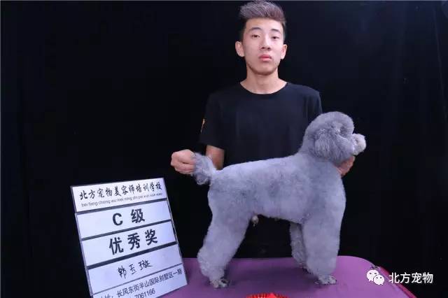 中文无码精品一区二区三区