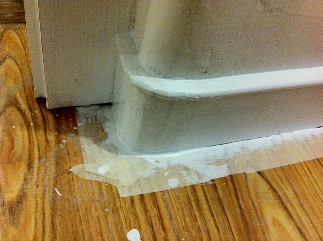 猫咪社区官方在线入口 猫咪你可以安心分享