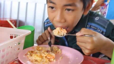 柚子猫 能和谐融入各类家居风格