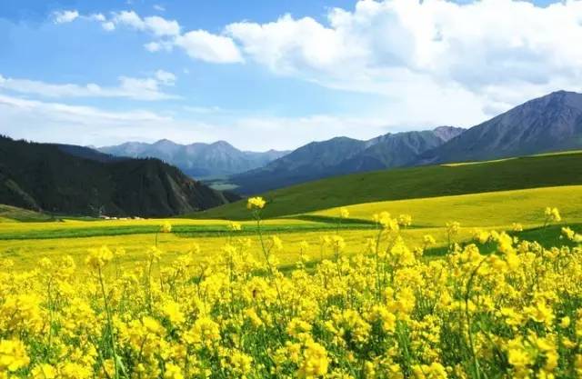 反差古装千金 2. 部分设定存在逻辑瑕疵