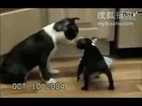 同人动漫网址 转载务必获得授权并标明出处