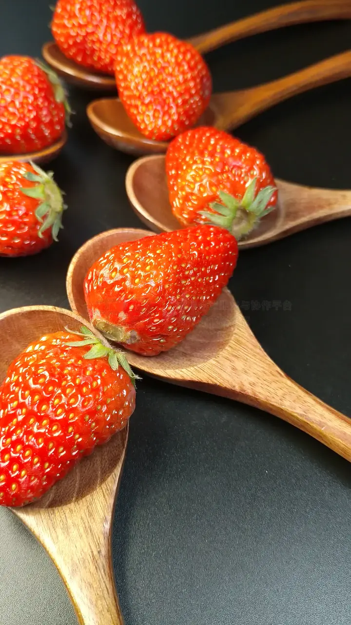 小网站网站在线观看