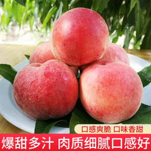 黑料吃瓜不打烊免费观看 在细分市场中占有一席之地