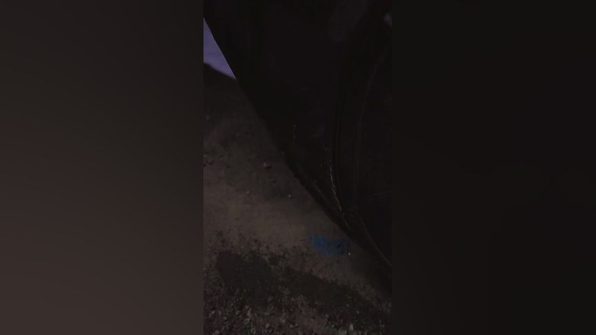 张津瑜吕总未删减 