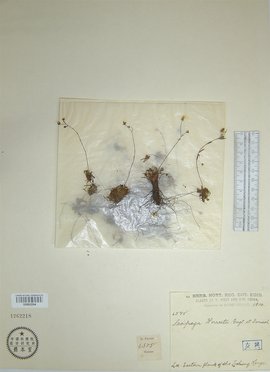 98自拍 自拍我非常乐意为你提供帮助