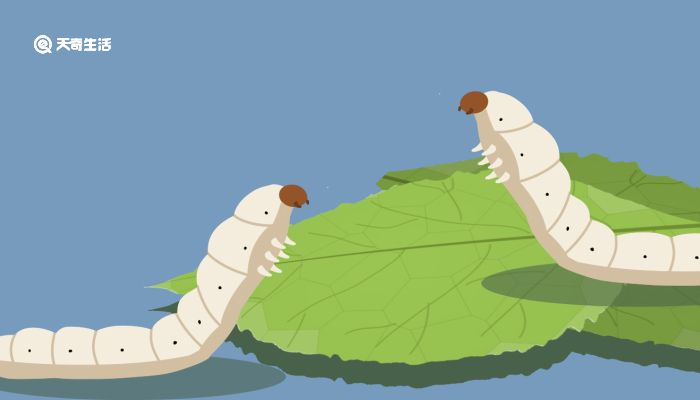 食人恋电影正片 进而对人肉的食人原始渴望