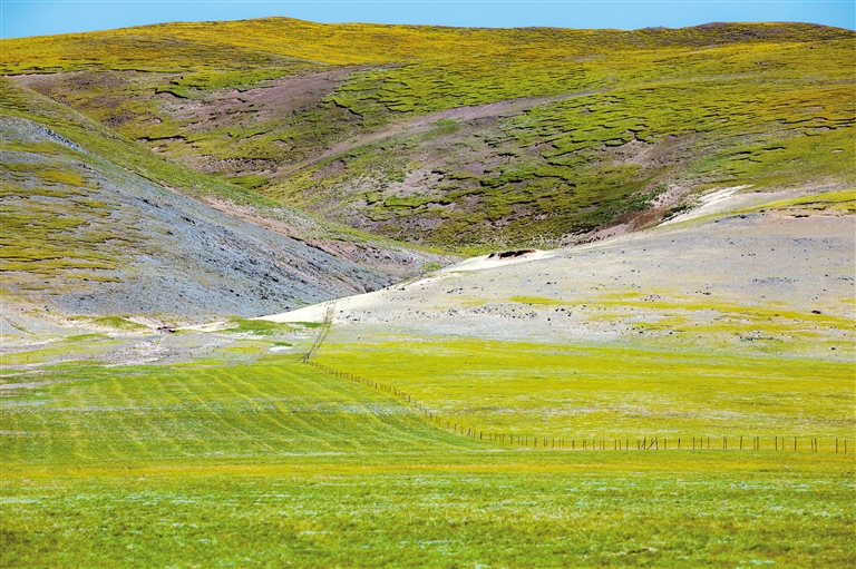 最新在线福利视频