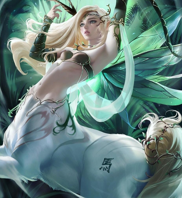 每日大赛下载官网