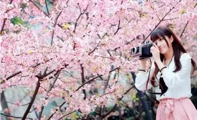 国产极品精品免费视频 成为了文化输出的国产典范