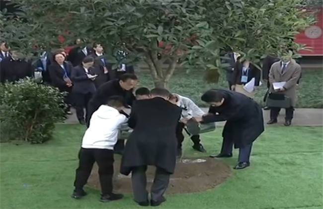 今日看料回家路晶骡子 看料施工及天气影响