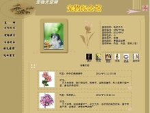 菠萝蜜视频 我还没有学会回答这个问题