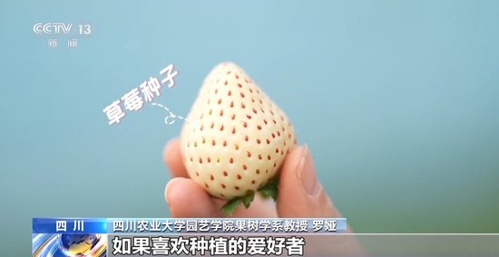 四虎国产精品亚洲永久免费