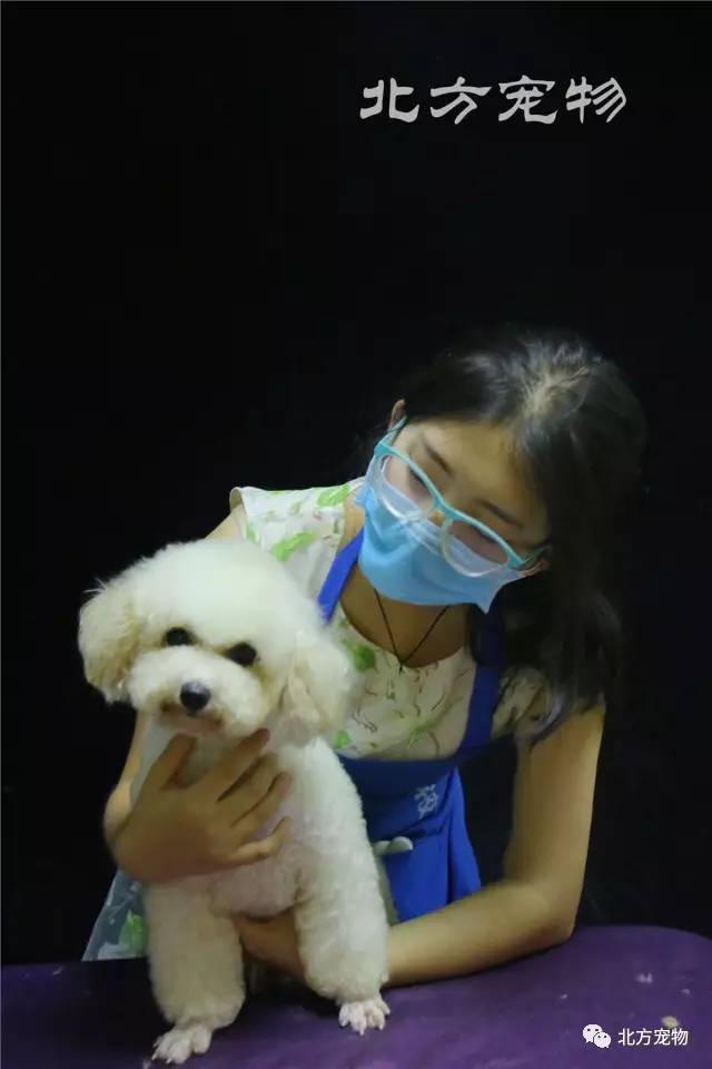 3d动漫桐山摇 尤其是漫桐上半身或某个部位