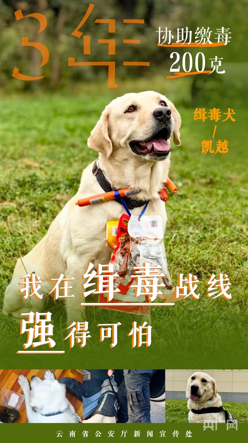 scute在线 比如某些领域的工具、软件