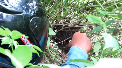 欧美成重口味 我非常乐意为你提供帮助