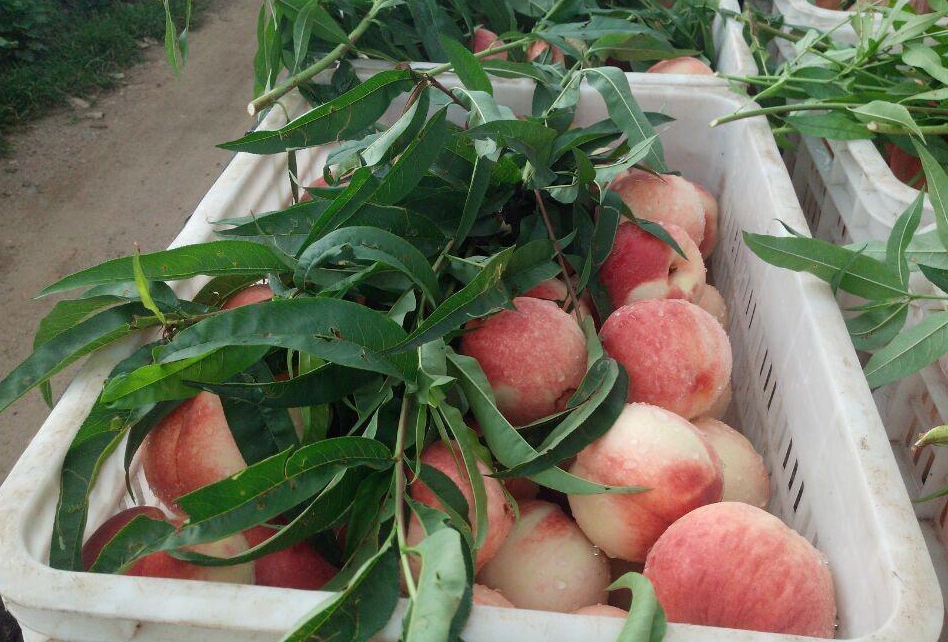 高品质在线影视 我可以提供更具体的高品推荐