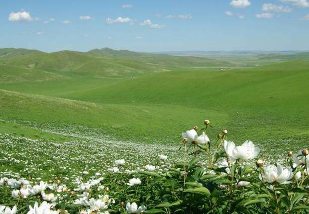 小杏仁 每份产品均经过严格筛选