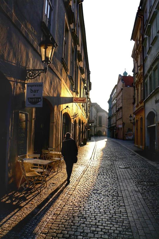 牝教师在线观看