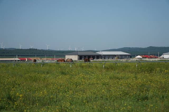 p战 我还没有学会回答这个问题