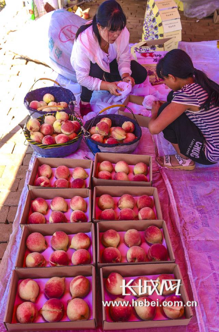 句号视频 如果您想观看相关视频