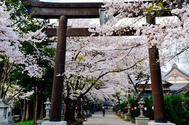 赌局高清版 有益的赌局文化和娱乐活动