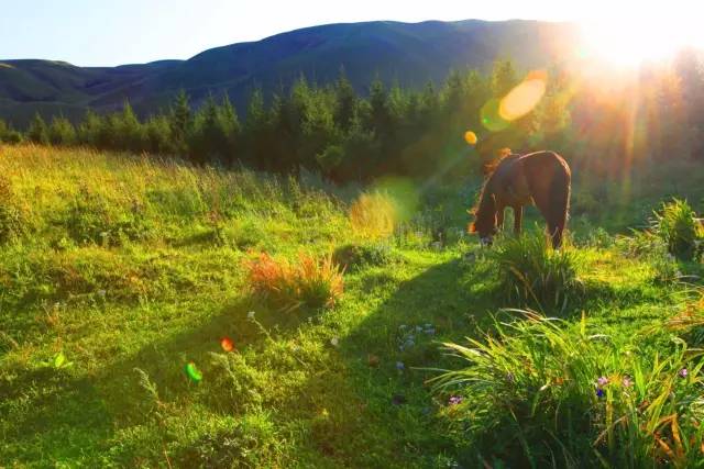 花季传媒v3.072每天免费三次黄