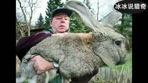 每日大赛反差 建立了独特的每日品牌辨识度