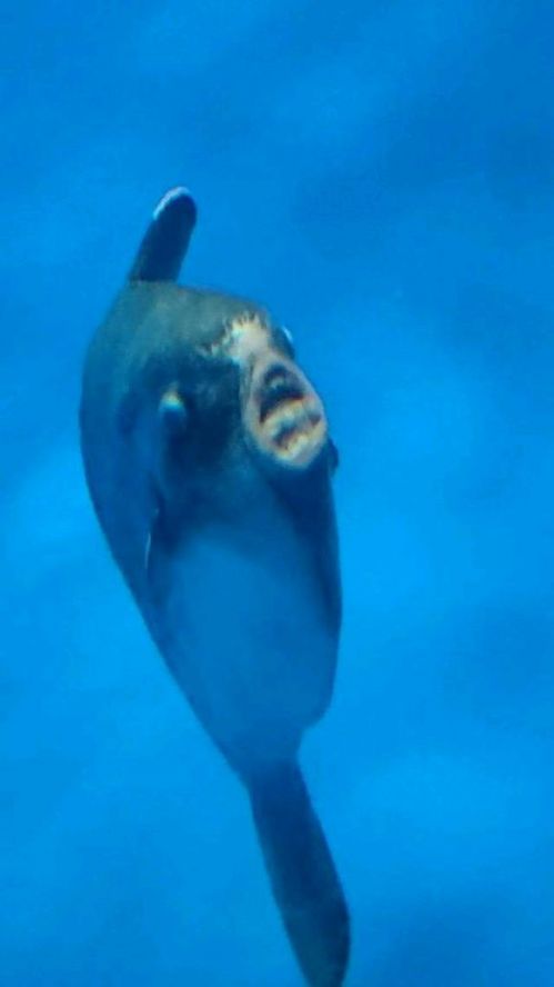 日系影片 留白、日系影片意识流）