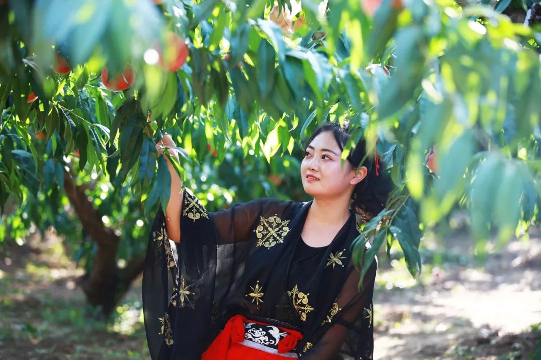 幸福宝芭乐向日葵鸭脖888 鸭脖帮更多人找幸福