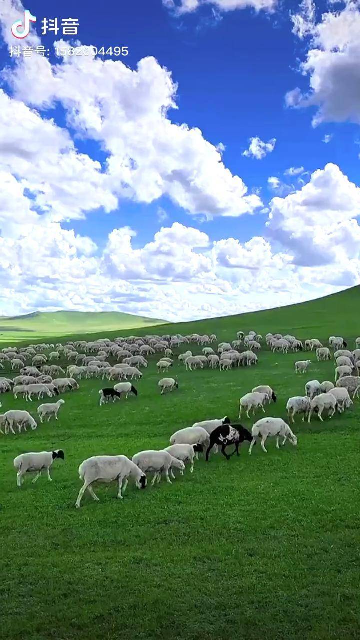 每日大赛反差婊大赛网，51-每日大赛 赛网在线竞赛平台层出不穷