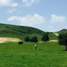今日吃瓜免费观看 极大地降低了使用门槛