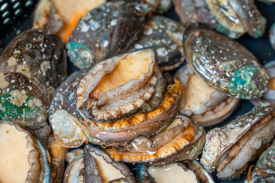 海角雅雅吃瓜网 海角社区互动氛围活跃