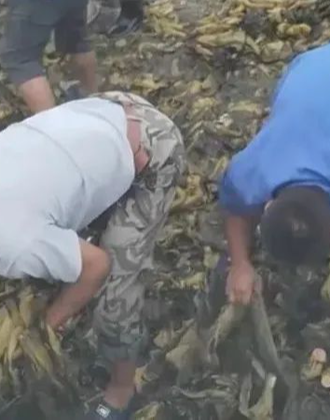 影视资源动漫 由于版权和安全问题