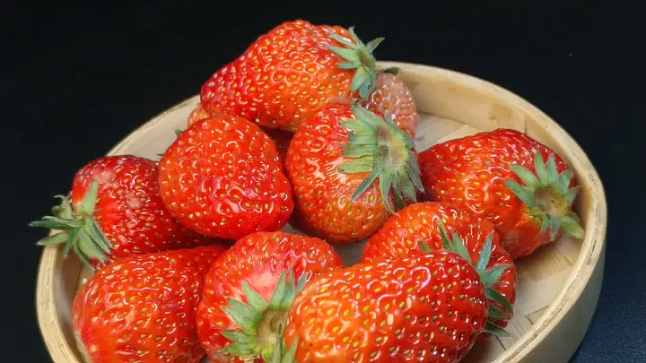 精品国产你懂的在线观看 从宏大叙事的精品历史正剧