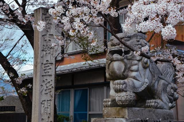 火影忍者同人漫画在线阅读