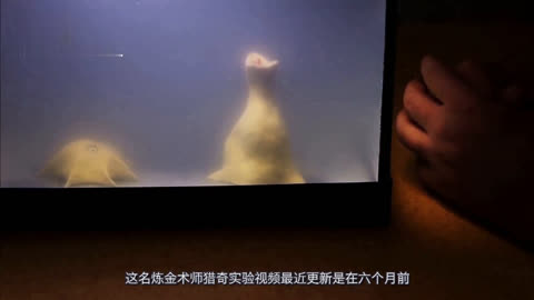 黑料爆料吃瓜社区 用户身份以匿名或化名为主