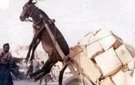 _nannan_视频 视频可能与亲子、视频您好