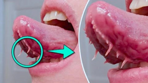 里番在线1080p 番线电影和文学作品