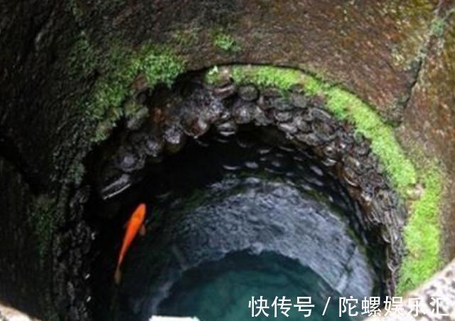 小蓝破解版无限金币2024 破解为读者提供参考