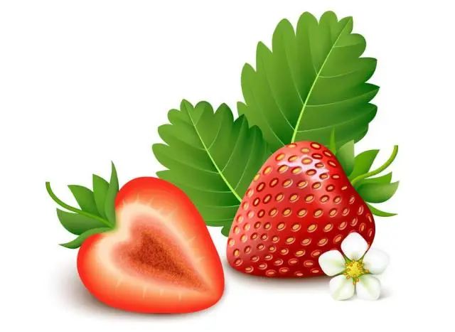 厦门一翠飞香文化有限公司 招标 资质证明和成功案例