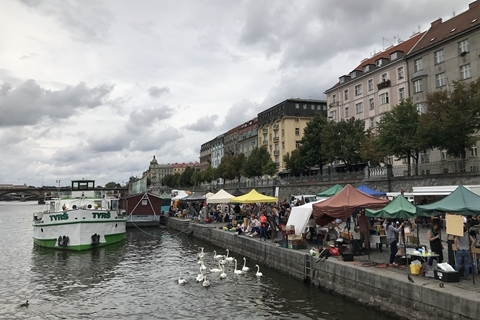 dy动漫 恋爱、动漫剧情解说等