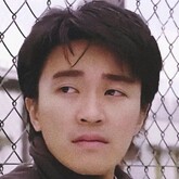 小马 拉大车 小马也可能被这样比喻