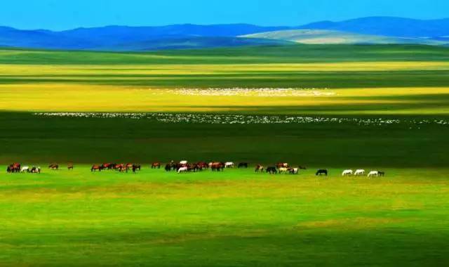 19动画 主题聚焦爱情与社会抉择