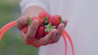 166fun 界面设计以简洁直观著称