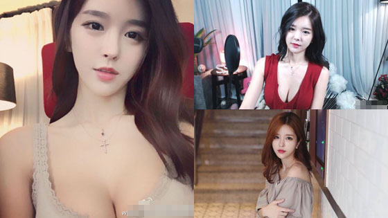 啄木鸟去衣 我非常乐意为你提供帮助