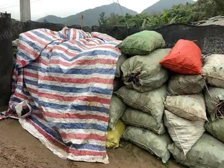 因纽特人视频观看